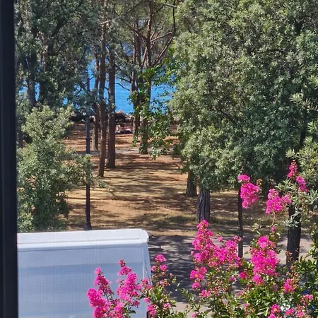 Medium Miramare Sogno Sul Mare * Trieste